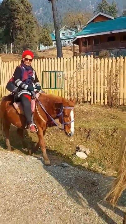 Pahalgam Kashmir 2022 December Pony Riding In Pahalgham Horse