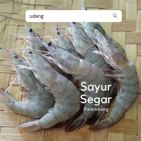 Jual Udang Vaname Per 250 Gr Sayur Segar Palembang Shopee Indonesia