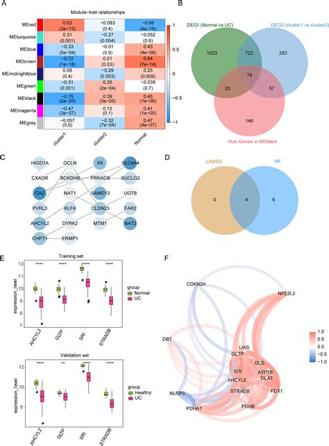 Identification Of Cuproptosis Related Molecular Classification And