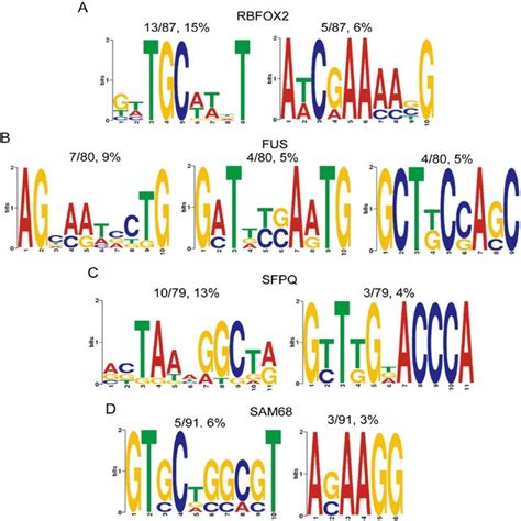 Schematic Illustration Of The Selection Strategy For Rna Sequences