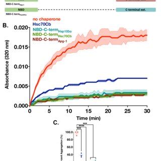 C Terminal Extension Substrate Binding Is Conserved Between Fly And