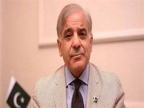 Nawazs Return Not Driven By Revenge Shehbaz Sharif Theprint Anifeed