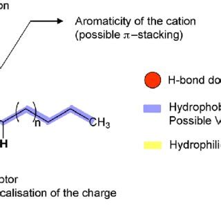 Schematic Representation Of The Different Types Of Interactions