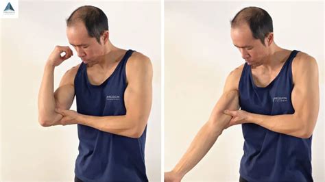 Distal Biceps Tendonitis Exercises That Reduce Pain Precision Movement