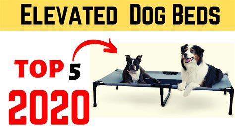 Best Elevated Dog Bed 2020 Top 5 Elevated Dog Bed Amazon Youtube