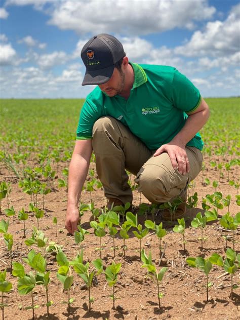 Aprosoja Instala Ctecno Araguaia E Faz Experimento Mais De 140