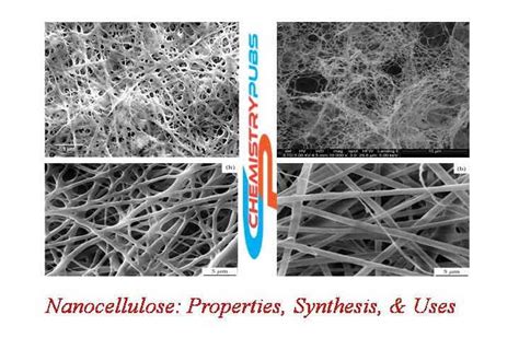 Nanocellulose: Properties, Synthesis, & Uses - Chemistrupubs