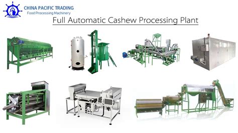 Fully Automatic Cashew Nut Processing Plant Price T H Atelier Yuwa