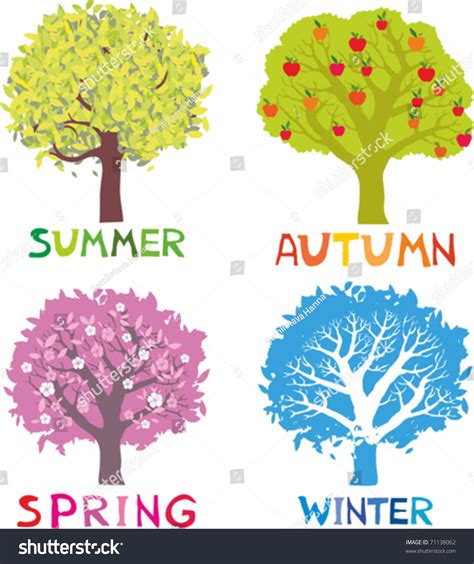 Four Seasons Spring Summer Autumn Winter 库存矢量图（免版税）71138062 Shutterstock