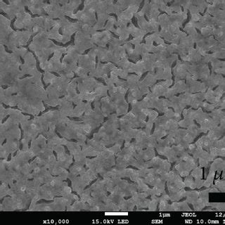 Sem Images For A Surface And B Cross Section Morphologies Of Tio