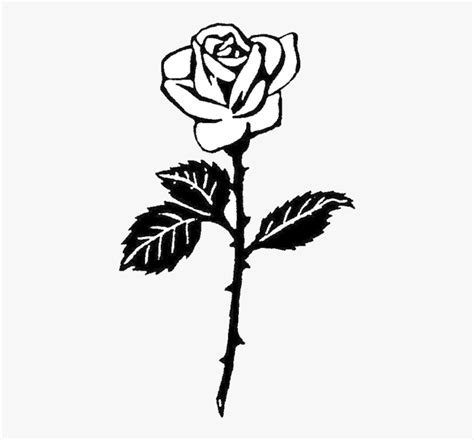 Detail Rose Clipart Png Koleksi Nomer 28