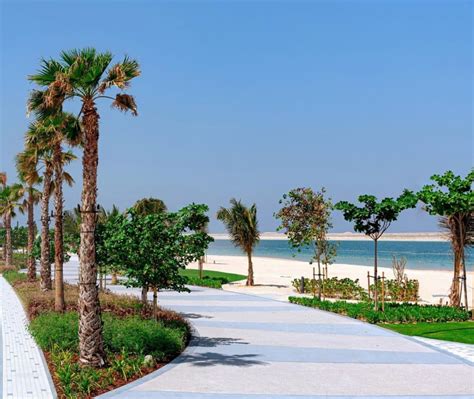 Dubai Islands Beach: The First Pet-Friendly Public Beach In Dubai