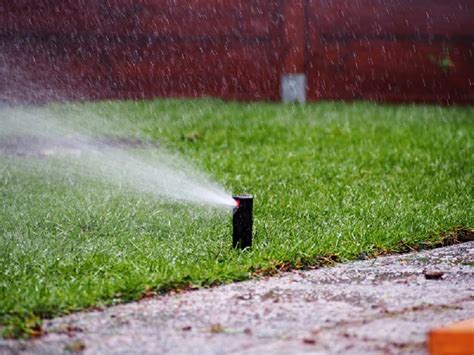 Why You Need To Install A Backflow Preventer On Your Lawn Sprinkler System