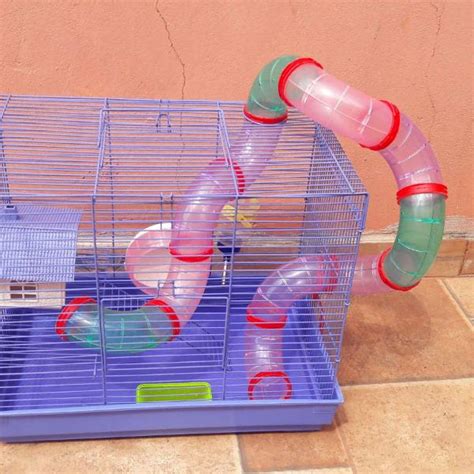 Gaiola American Pets Para Hamsters Labirinto Posot Class