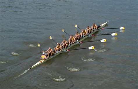 Rowing team Images - Search Images on Everypixel