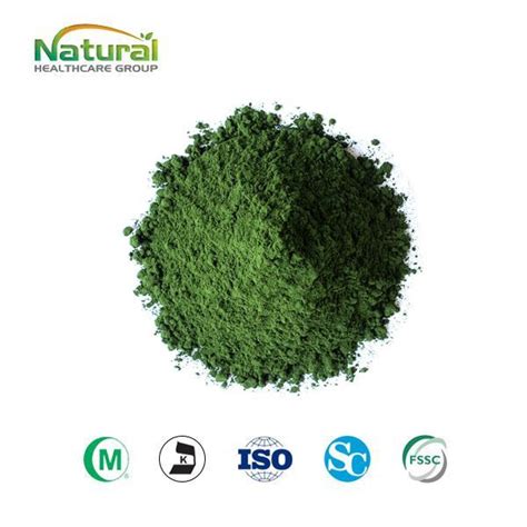 China Bulk Chlorella Powder Manufacturers Suppliers Factory Pure Bulk