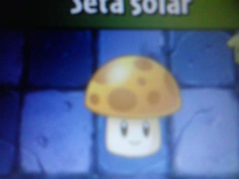 Seta Solar Wiki Universo PvZPvZ Oficial Amino