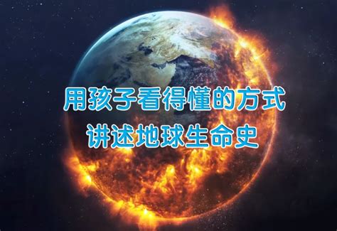 科普知识地球生命史12讲画啦啦小灯塔视频合集百度云网盘下载 微资源