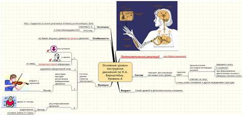 Уровень А построения движений по Н А Бернштейну nlpt LiveJournal