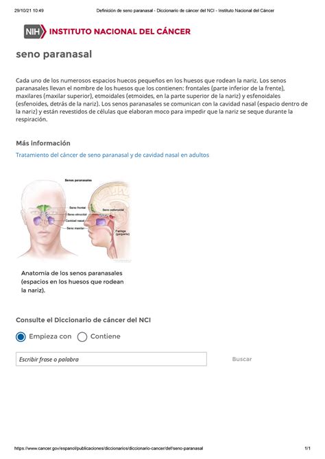 Definición de seno paranasal Diccionario de cáncer del NCI