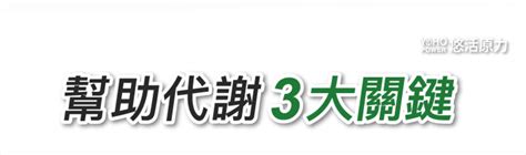 吳淡如代言x大樹藥局 熱賣中 Yohopower 悠活原力 好菌銀行 官方購物網