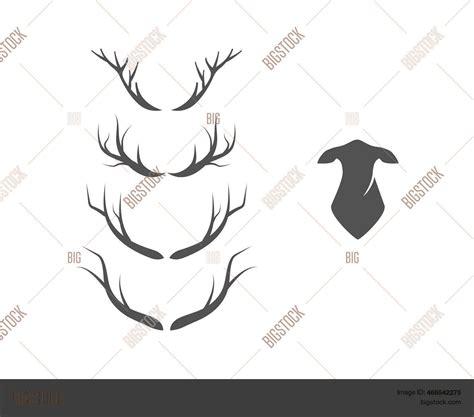 Set Deer Logo Vector Vector & Photo (Free Trial) | Bigstock