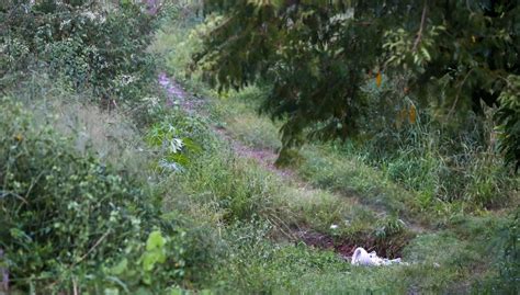 Corpo é encontrado enterrado em matagal na zona leste de Teresina GP1