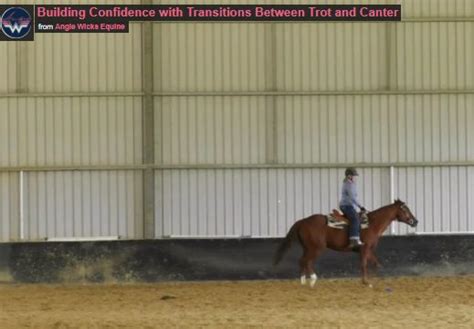 Building Confidence with Transitions Between Trot and Canter - Wicks Equine