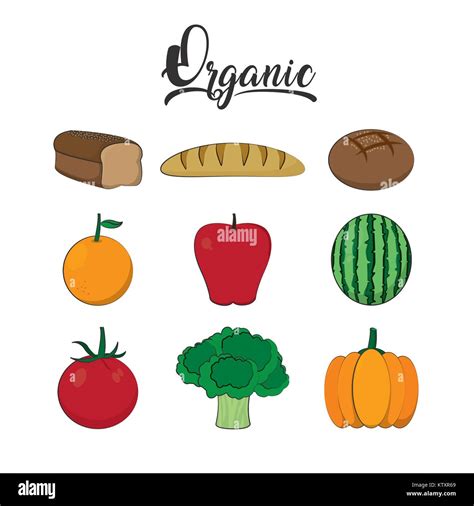 Organic Food Design Stock Vector Image Art Alamy