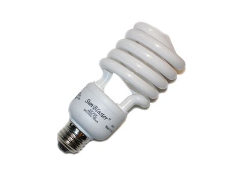 compact fluorescent bulbs  plants ecolume full spectrum cfl light