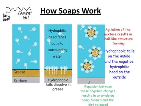 How Soap Work Soap Cleanse Basic Concepts