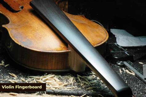 Violin Fingerboard A Comprehensive Guide Phamox Music