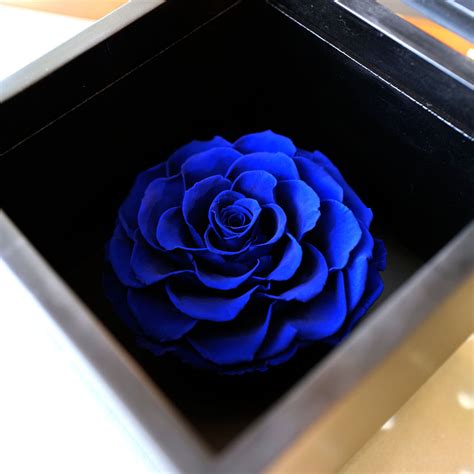 青いバラ1輪 プリザーブドフラワー Black Cube Box すべての商品 Roseshop 青いバラ、レインボーローズの専門店