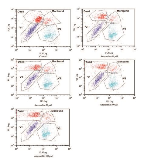 Flow Cytometric Analysis Of Sperm Labeled With Yo Pro 1 He Fluorescence