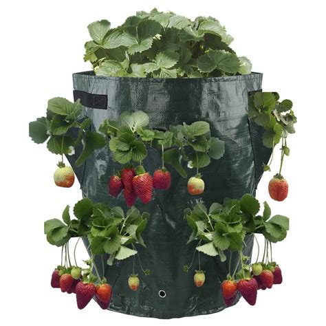 Aliexpress Buy Potato Strawberry Planter Bags For Growing