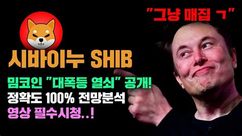 시바이누 Shib 긴급 밈코인 대폭등 열쇠 공개합니다 정확도 100 전망분석 영상 필수시청 코인시황 Youtube