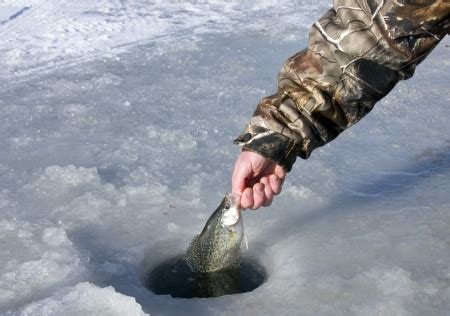 Winter Ice Fishing: Staying Safe on the Ice - V-Dock - R&D ...