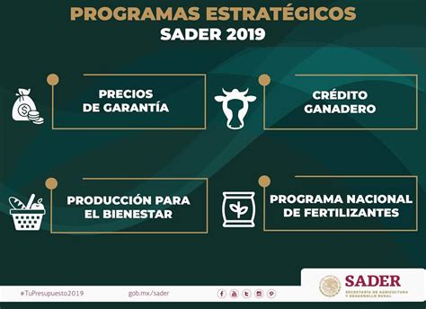 Publica Sader Los Lineamientos Para La Operación Del Programa Producción Para El Bienestar 2019