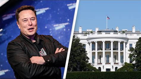 People are now calling for Elon Musk to run for US President after ...