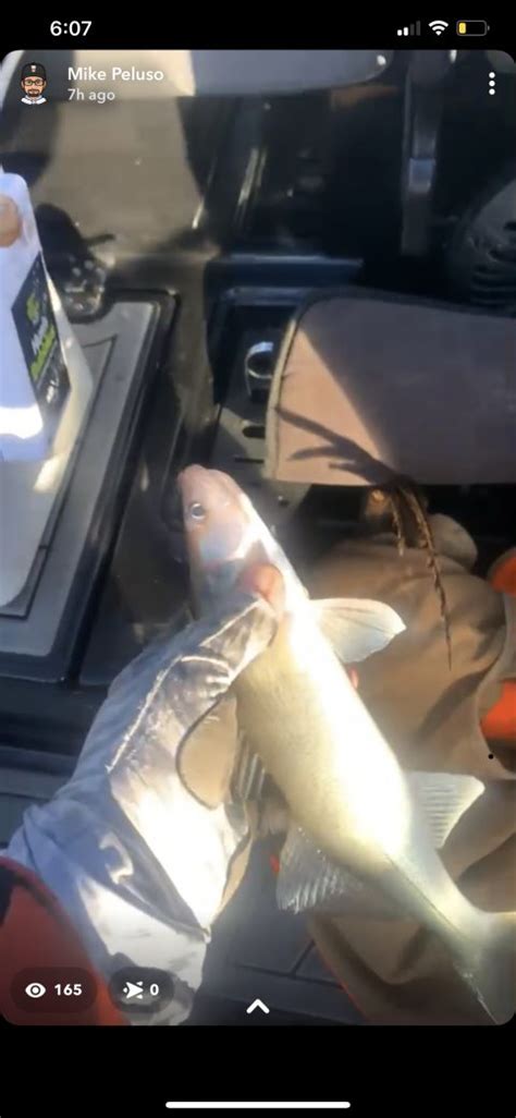 Mid Week Fishing Report October Th Mike Peluso Outdoors