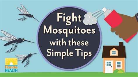 Fight Mosquitoes With These Simple Tips Youtube