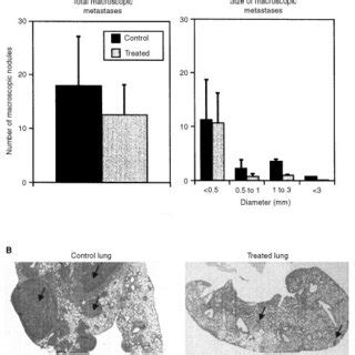 Clonogenic Survival Of B16 F10 Cells Treated With SR 25989 B16 F10