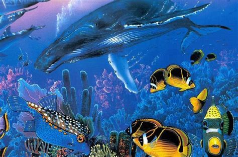 An Underwater Scene With Many Different Types Of Fish And Sea Animals