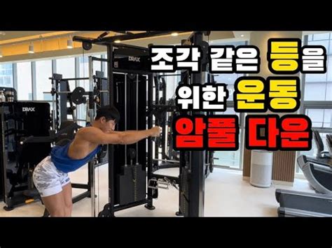 등 좋아지고 싶으면 이 운동 꼭 하세요ㅣ암풀 다운 YouTube