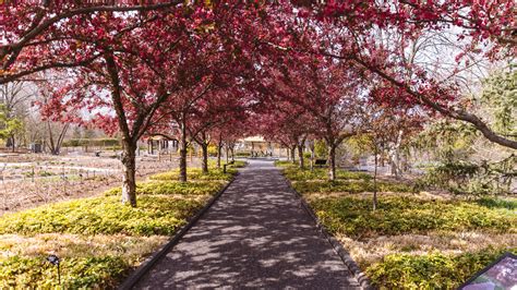 Visiting the Missouri Botanical Garden (Photos)