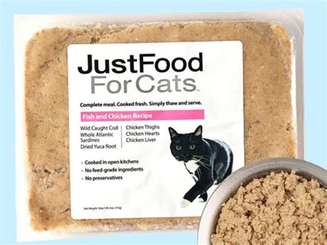 The Best Wet Cat Foods Of 2024 According To Veterinarians