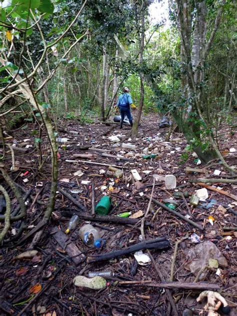 Limpeza Do Rio Cambori Aliviou Metros C Bicos De Lixo