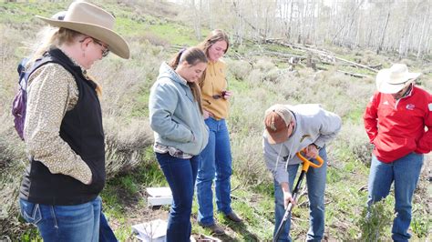 Registration Open For Uw Extensions 2023 Ranch Camp Agnews