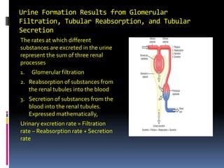 Physiology Ppt