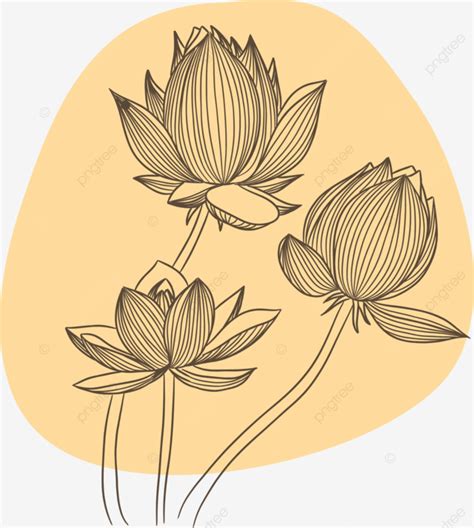 Hand Drawn Lotus Flower Line Art Illustration Vector Flower Line Art